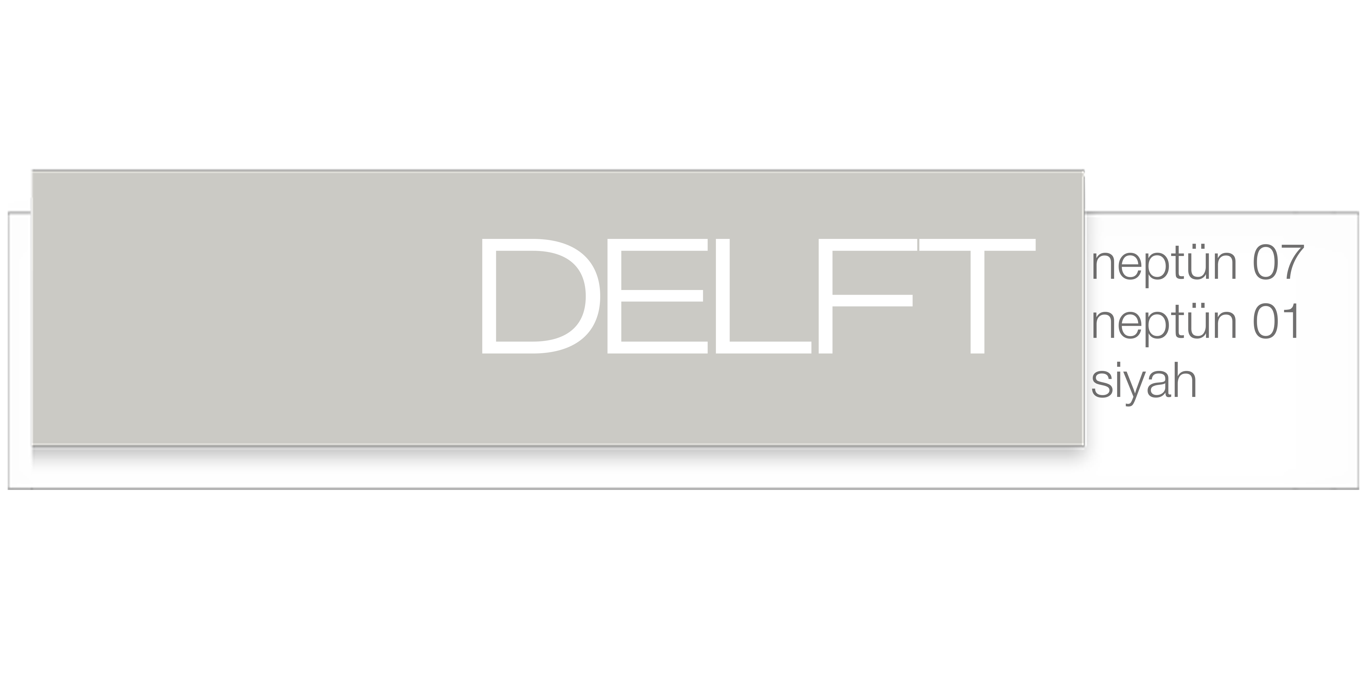 DELFT