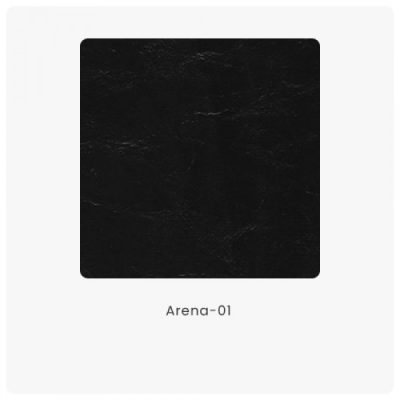 Arena 01