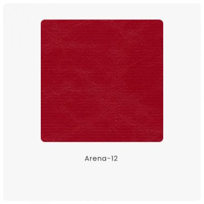 Arena 12