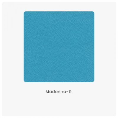 Madonna 11