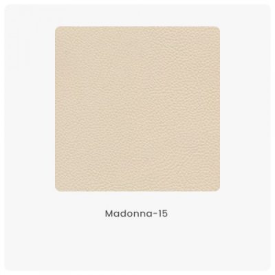 Madonna 15